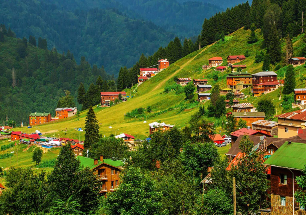 ayder