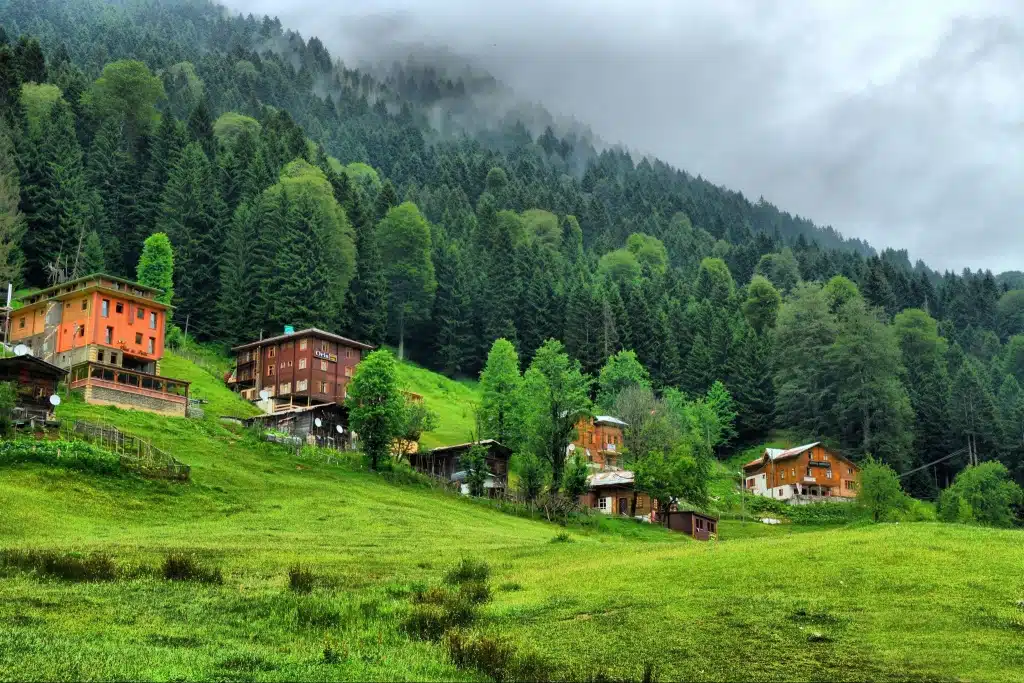 ayder