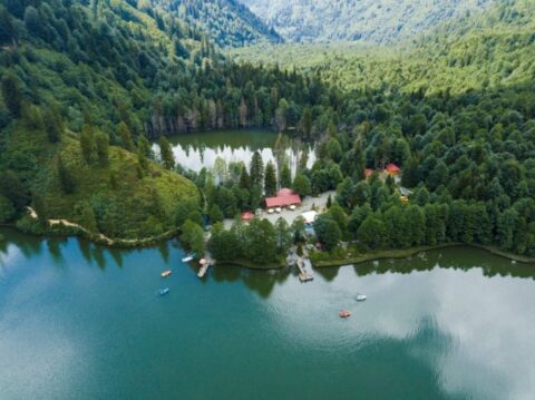 borcka-karagol