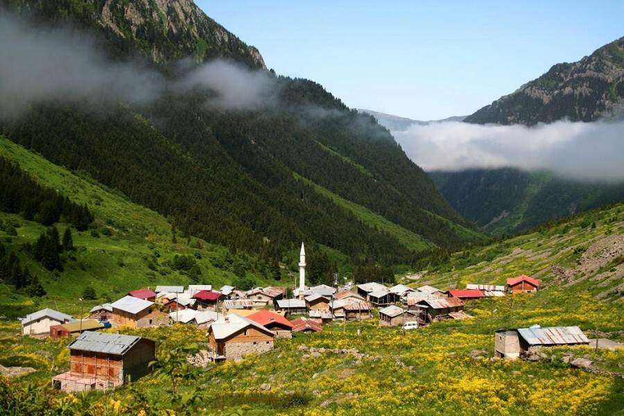elevit plateau