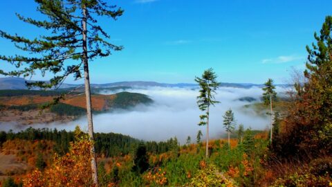 Küre Mountains National Park