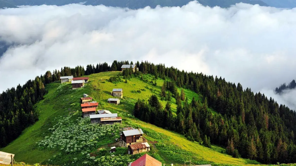 Pokut Plateau
